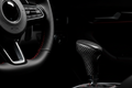 Carbon Fiber Shift Knob